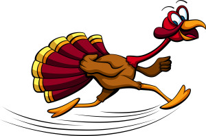 Thanksgiving Turkey Running