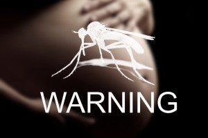Pregnant woman, imminent danger to the virus Zika